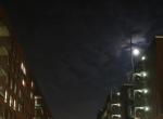 hamburg8.jpg