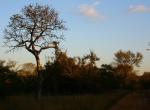 suedafrika29.jpg